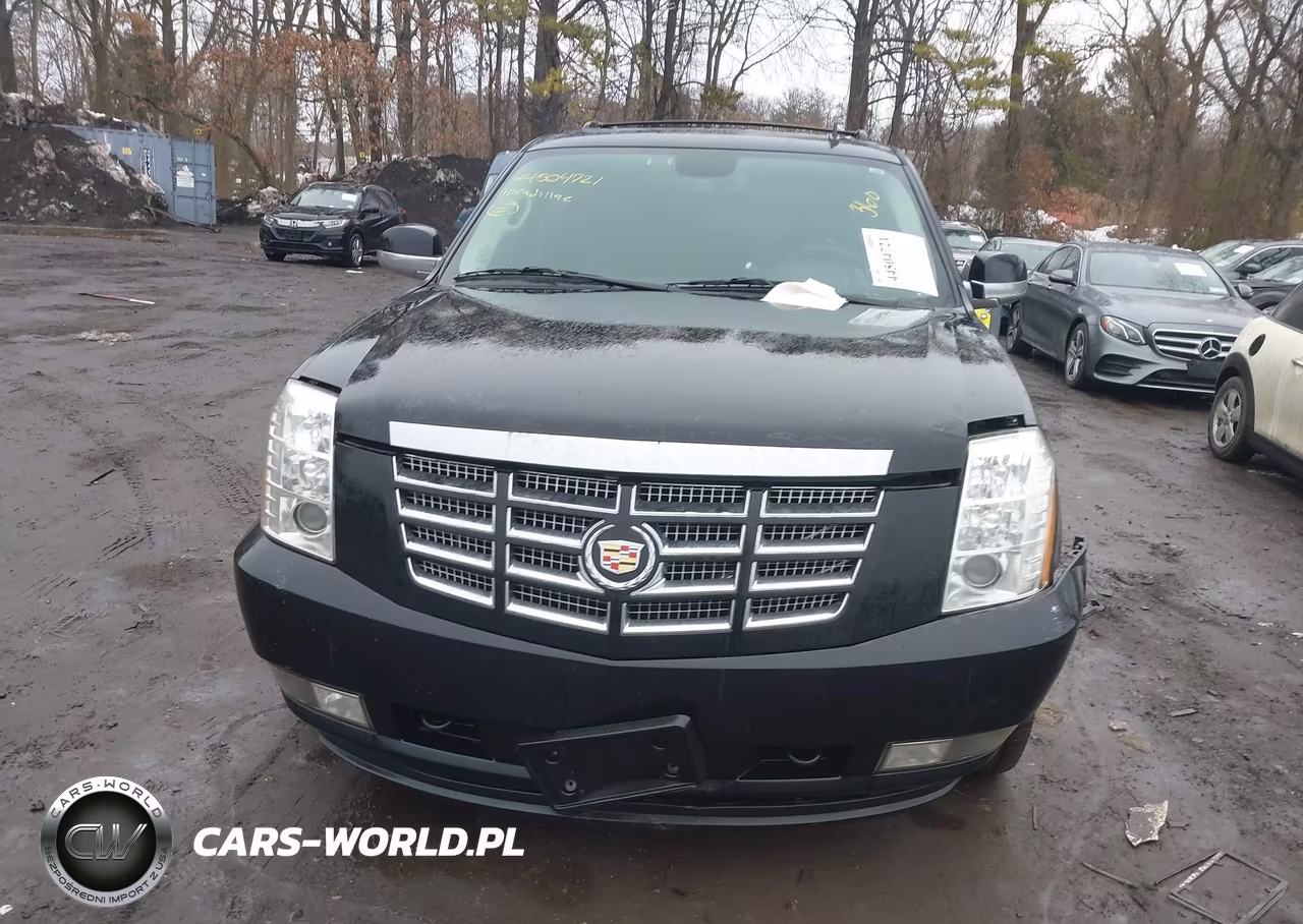 2010 Cadillac Escalade Premium VIN:1GYUKCEF3AR248230 - 12