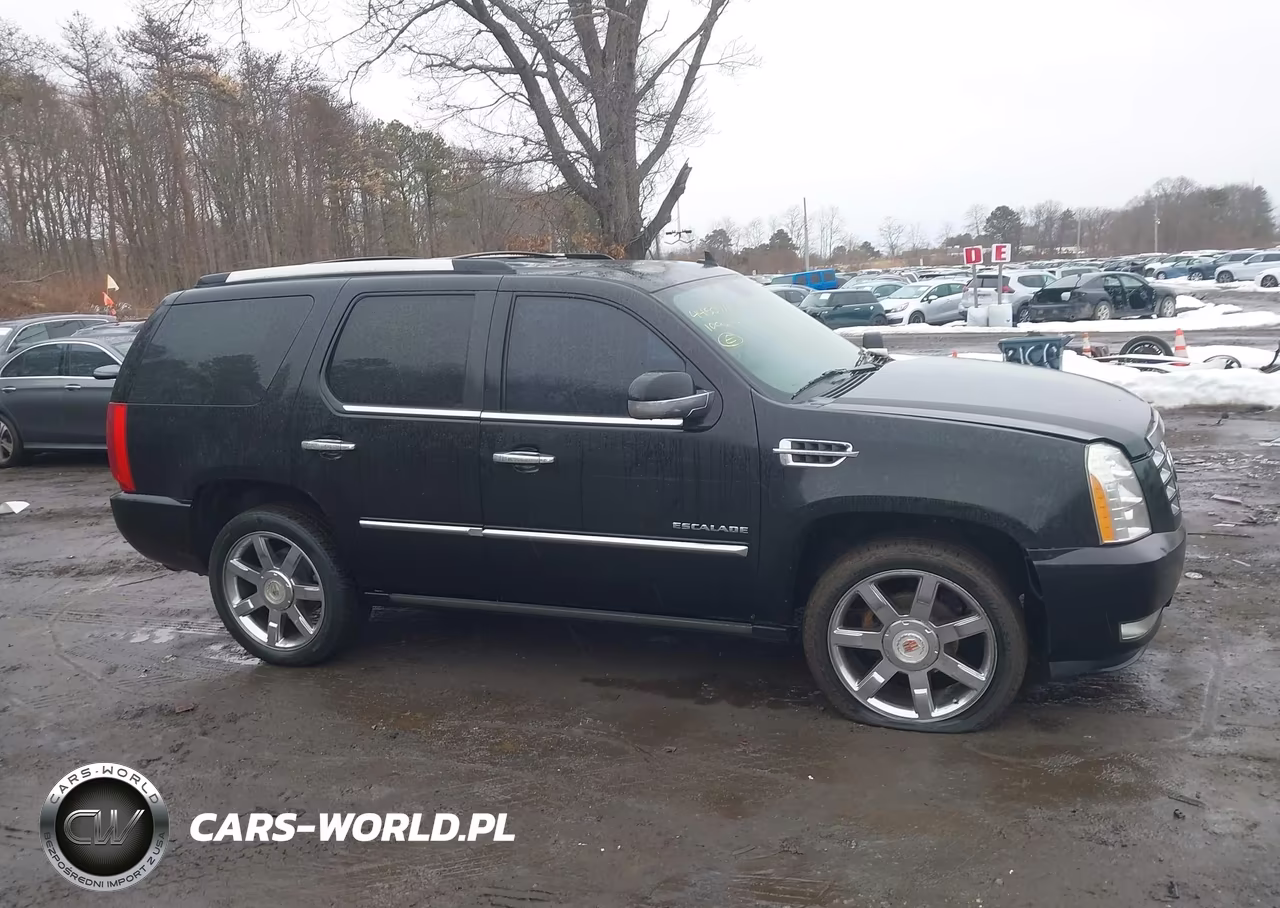 2010 Cadillac Escalade Premium VIN:1GYUKCEF3AR248230 - 13
