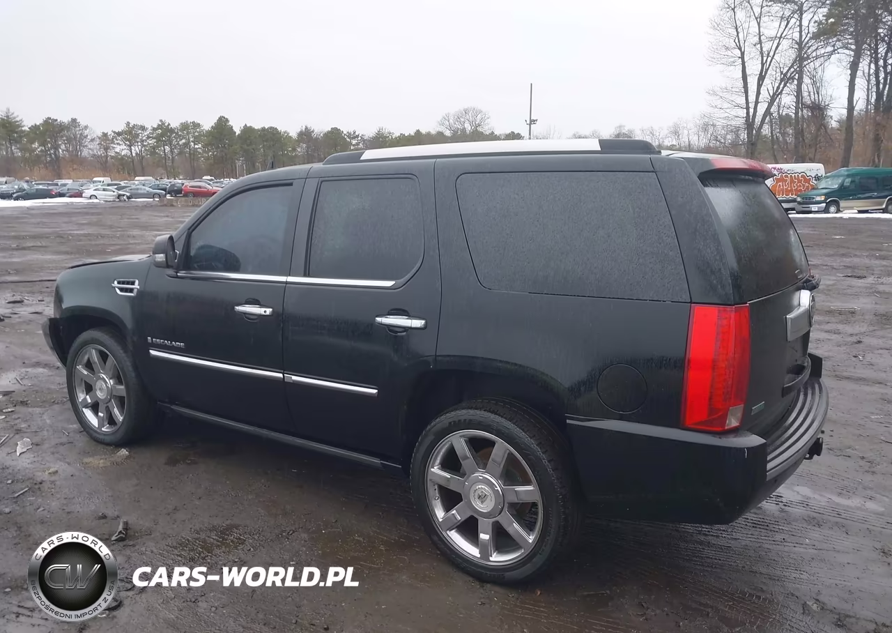 2010 Cadillac Escalade Premium VIN:1GYUKCEF3AR248230 - 14
