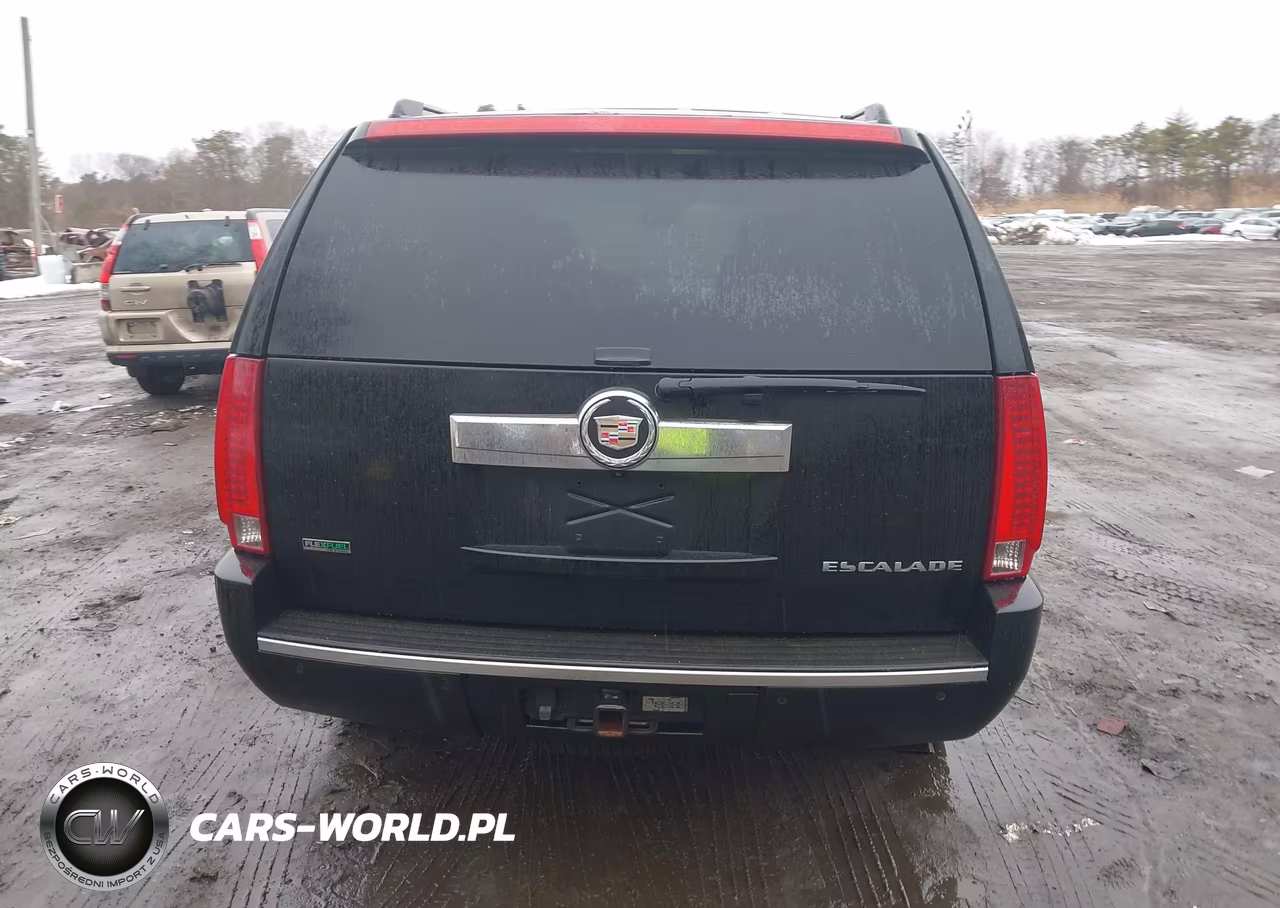 2010 Cadillac Escalade Premium VIN:1GYUKCEF3AR248230 - 16