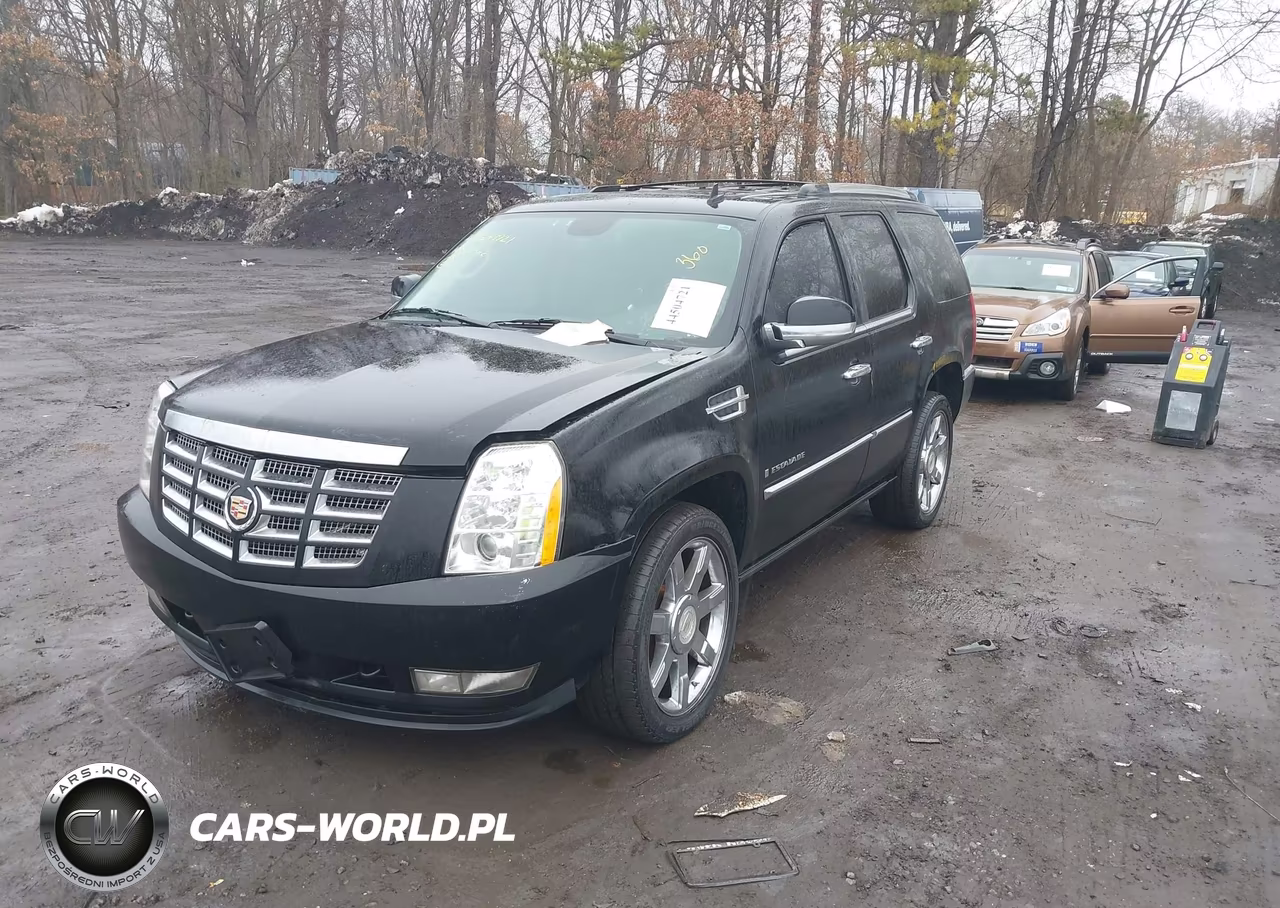 2010 Cadillac Escalade Premium VIN:1GYUKCEF3AR248230 - 2
