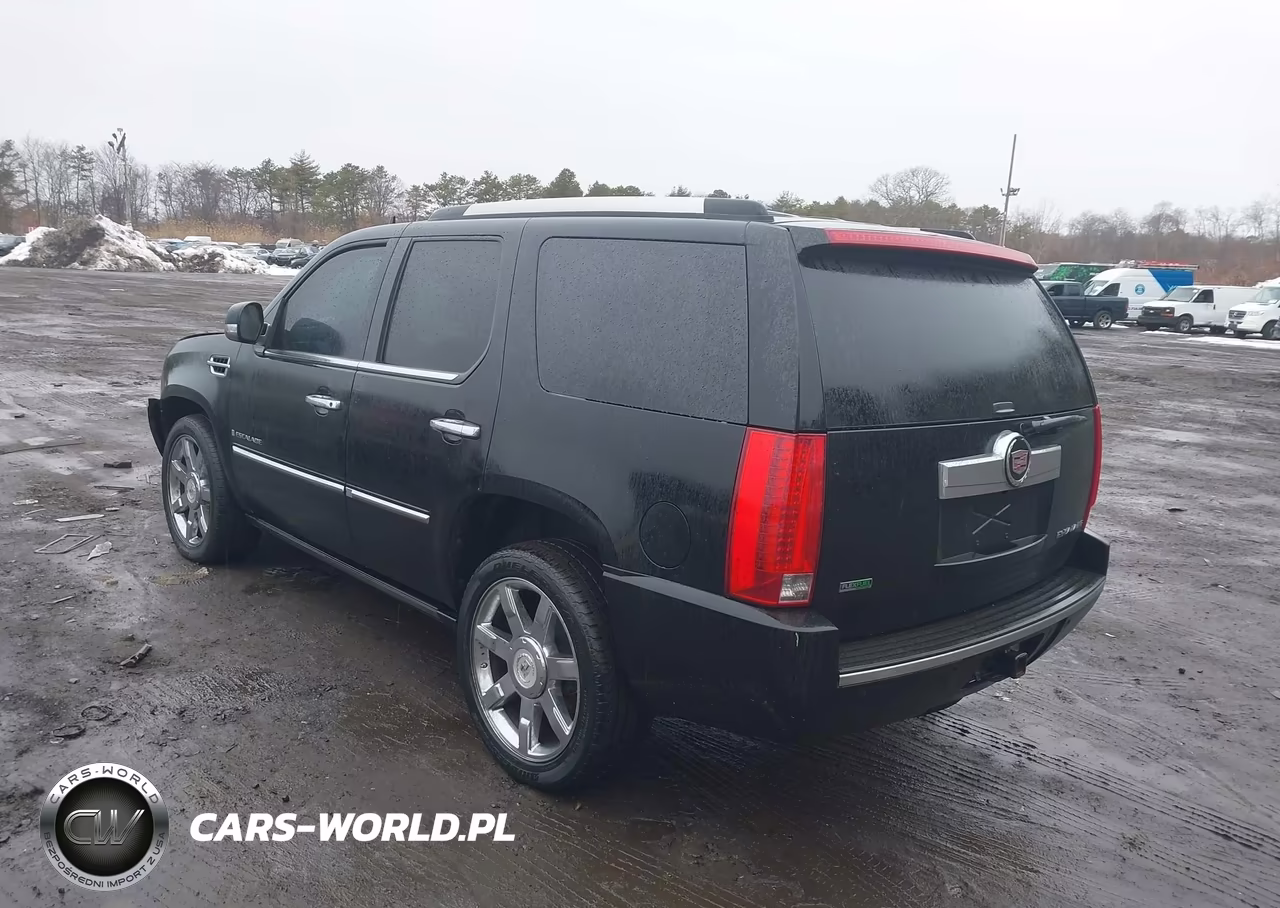2010 Cadillac Escalade Premium VIN:1GYUKCEF3AR248230 - 3