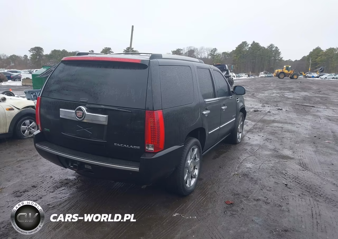 2010 Cadillac Escalade Premium VIN:1GYUKCEF3AR248230 - 4