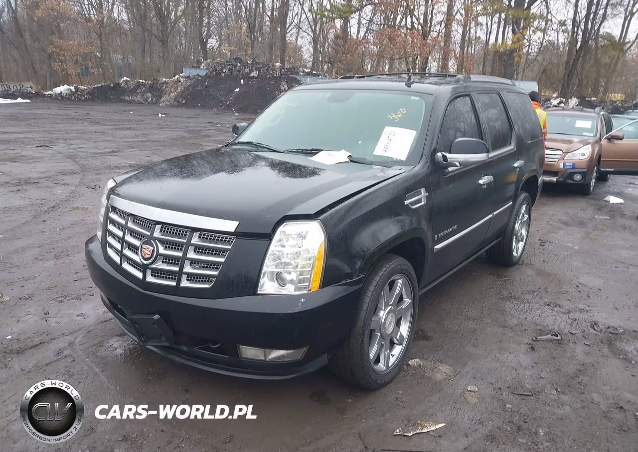 2010 Cadillac Escalade Premium VIN:1GYUKCEF3AR248230 - 6