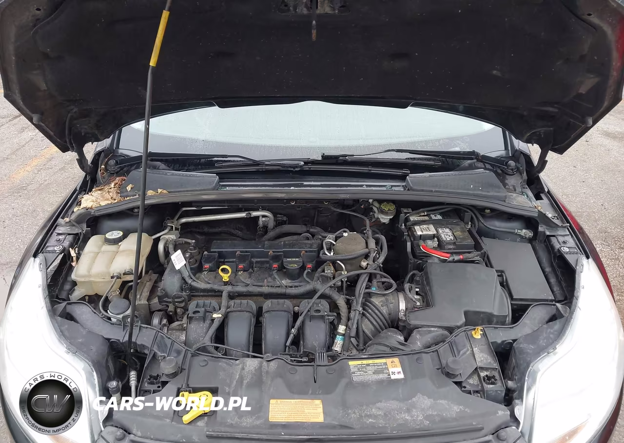 2013 Ford Focus Se VIN:1FADP3F21DL221687 - 10
