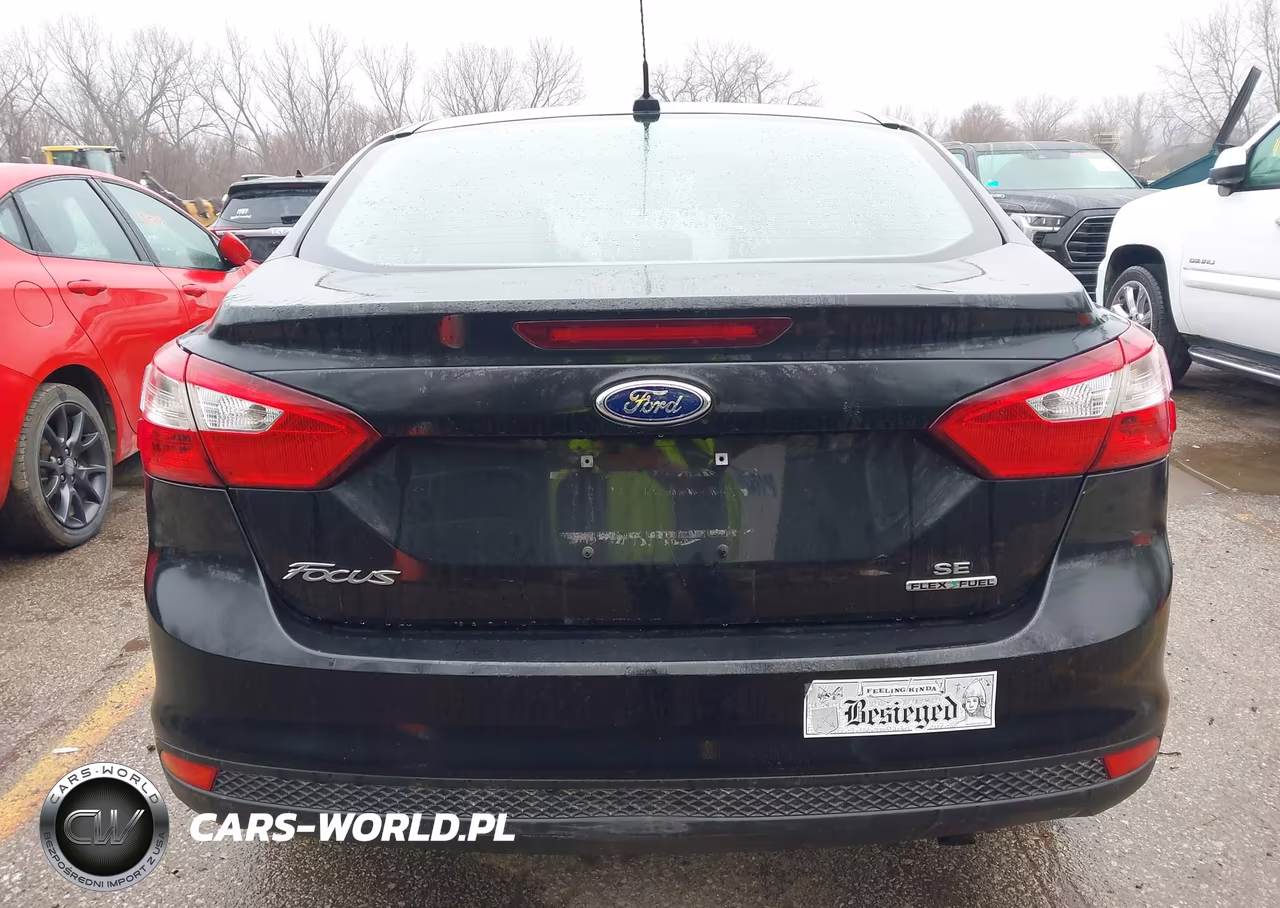 2013 Ford Focus Se VIN:1FADP3F21DL221687 - 17