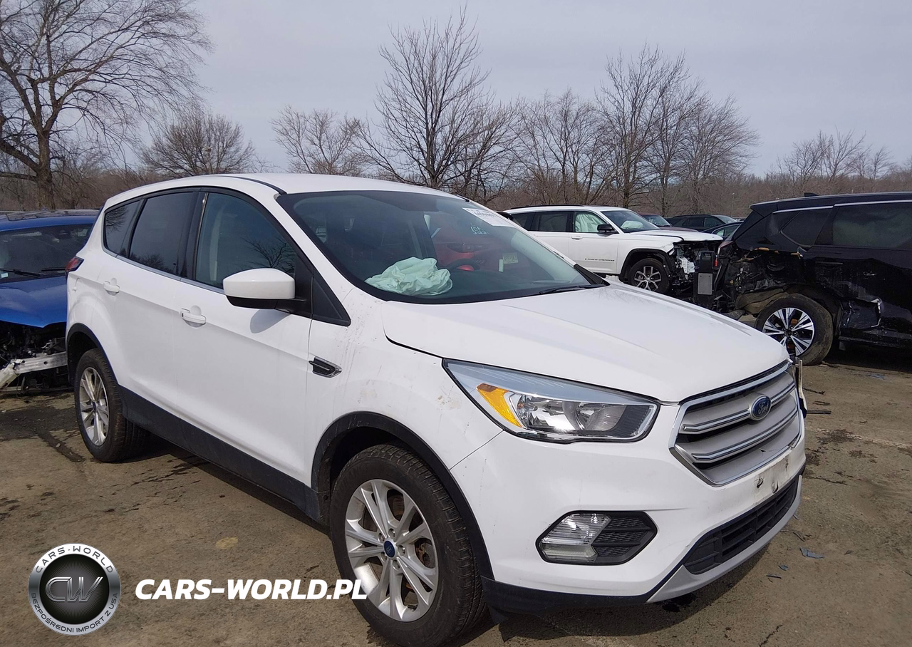2019 Ford Escape Se