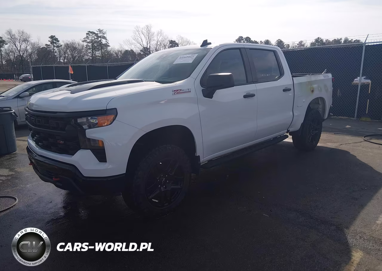 2022 Chevrolet Silverado 1500 4Wd Short Bed Custom Trail Boss VIN:3GCPDCEK3NG691512 - 2
