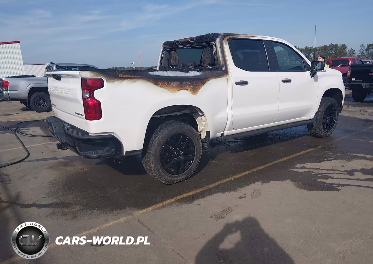 2022 Chevrolet Silverado 1500 4Wd Short Bed Custom Trail Boss VIN:3GCPDCEK3NG691512 - 4