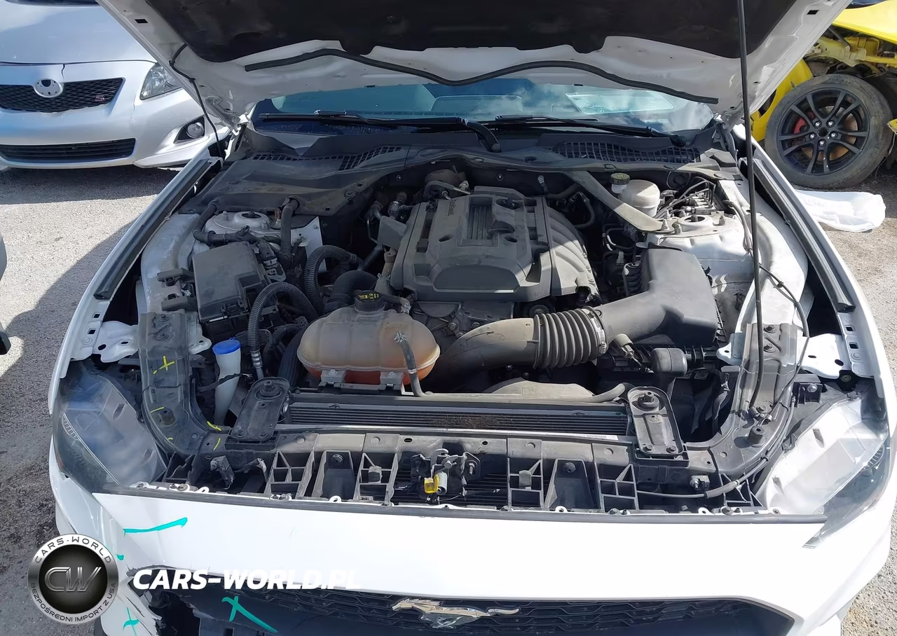 2020 Ford Mustang Ecoboost Premium VIN:1FATP8UH5L5125564 - 10
