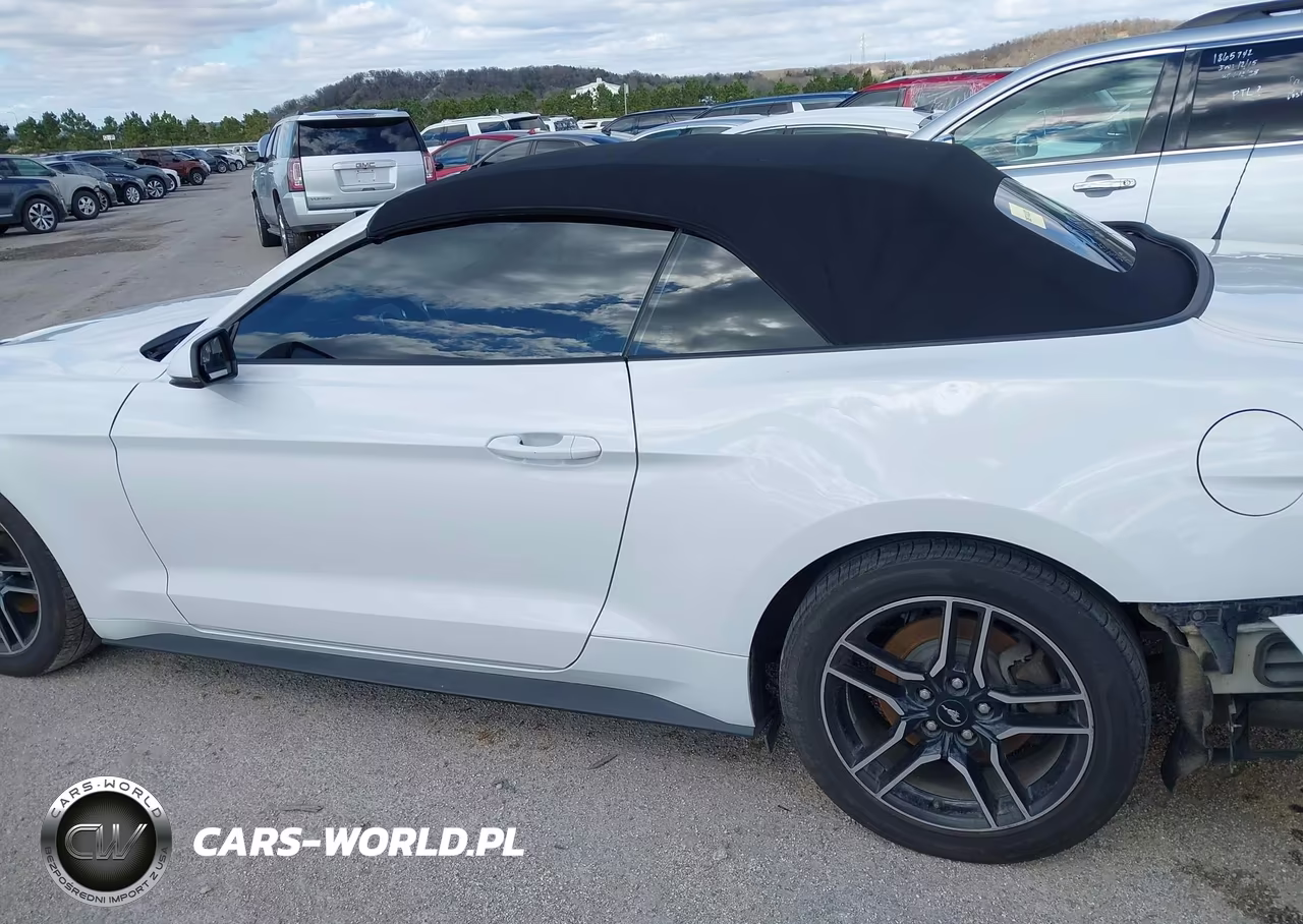2020 Ford Mustang Ecoboost Premium VIN:1FATP8UH5L5125564 - 15