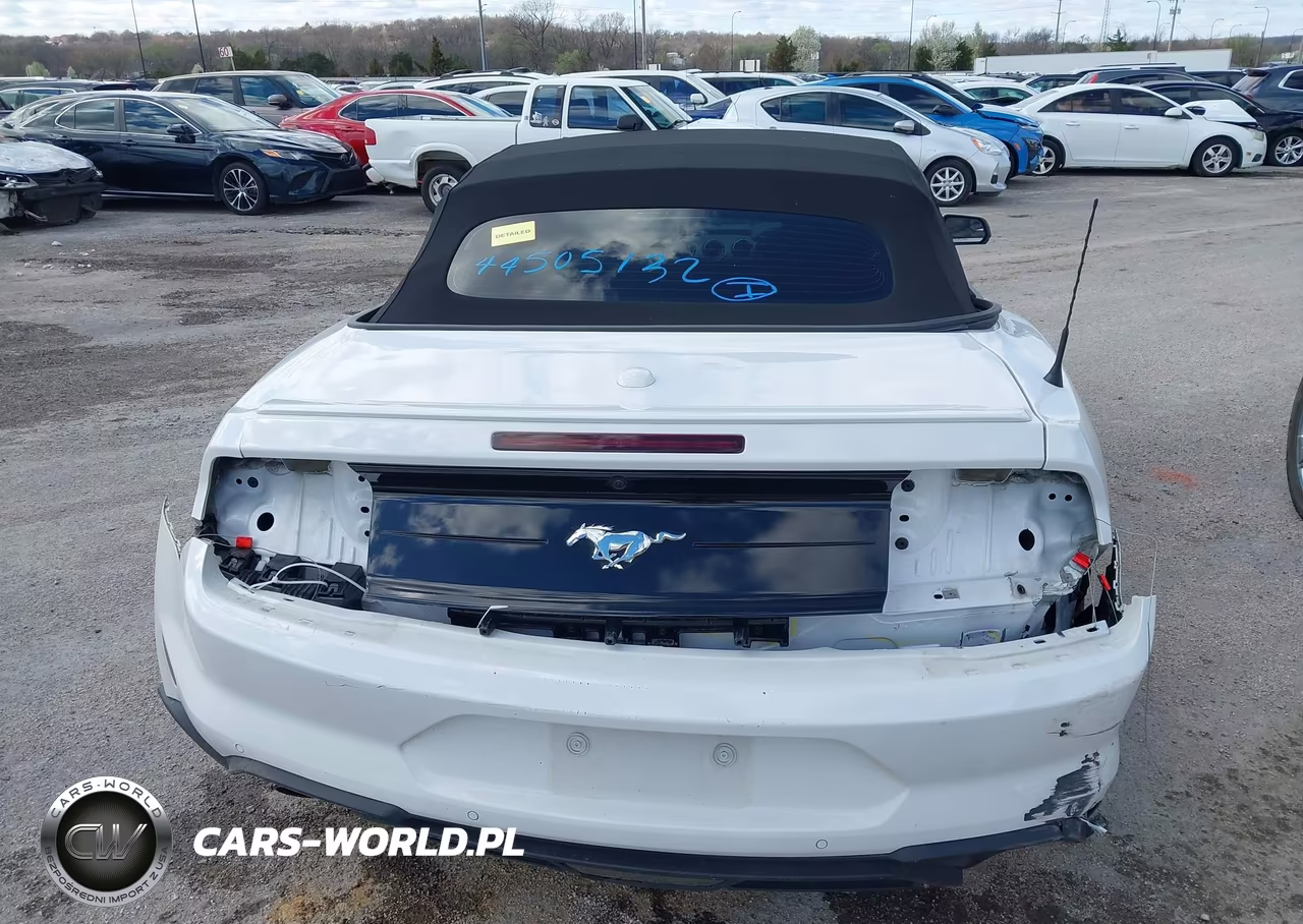 2020 Ford Mustang Ecoboost Premium VIN:1FATP8UH5L5125564 - 17