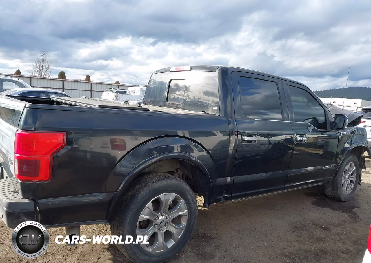 2018 Ford F-150 Platinum VIN:1FTFW1E10JFD46435 - 14