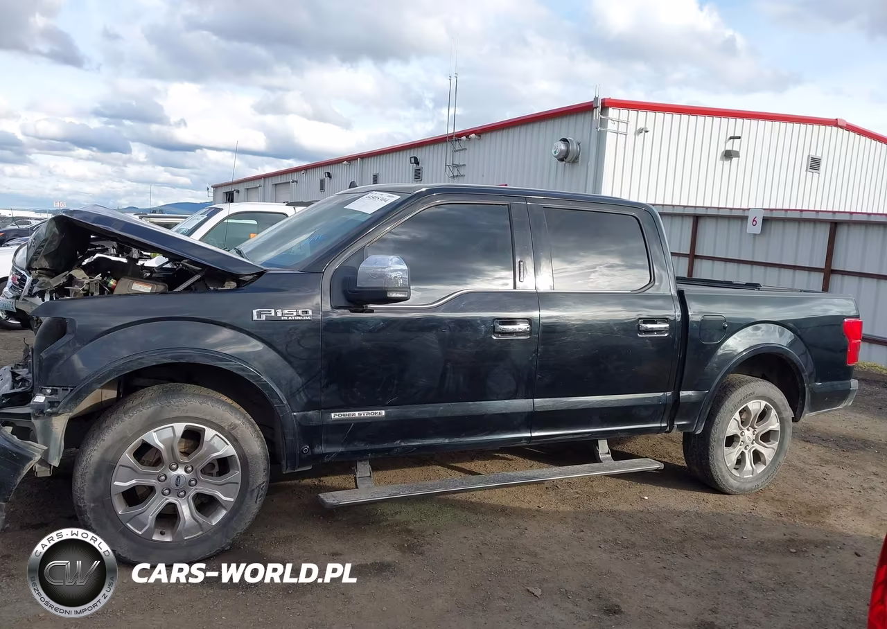 2018 Ford F-150 Platinum VIN:1FTFW1E10JFD46435 - 15