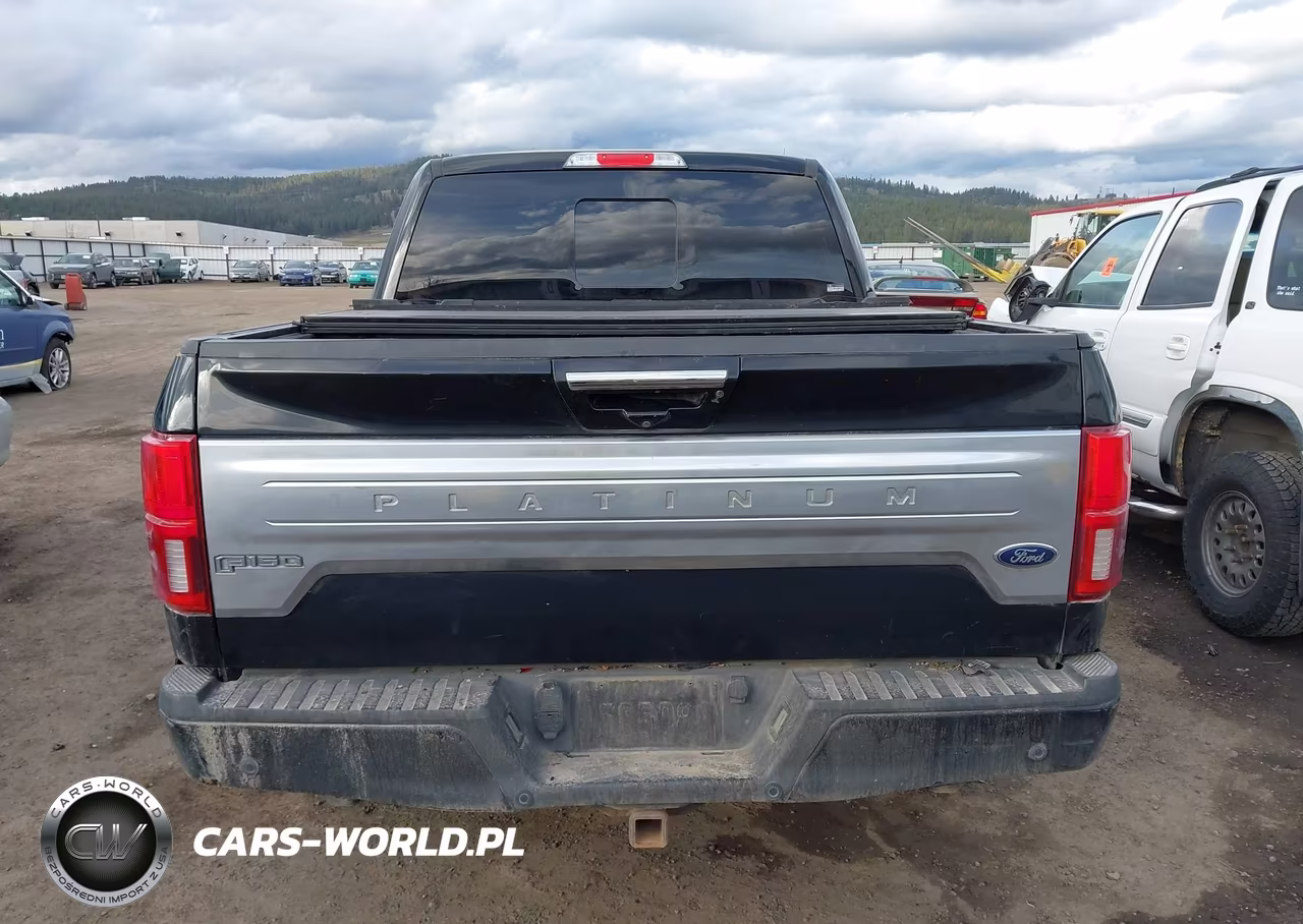 2018 Ford F-150 Platinum VIN:1FTFW1E10JFD46435 - 17
