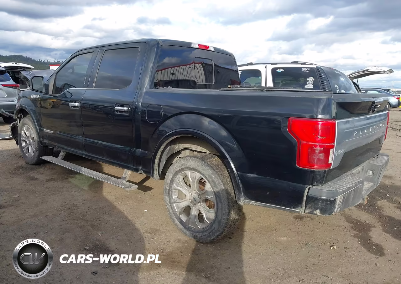 2018 Ford F-150 Platinum VIN:1FTFW1E10JFD46435 - 3