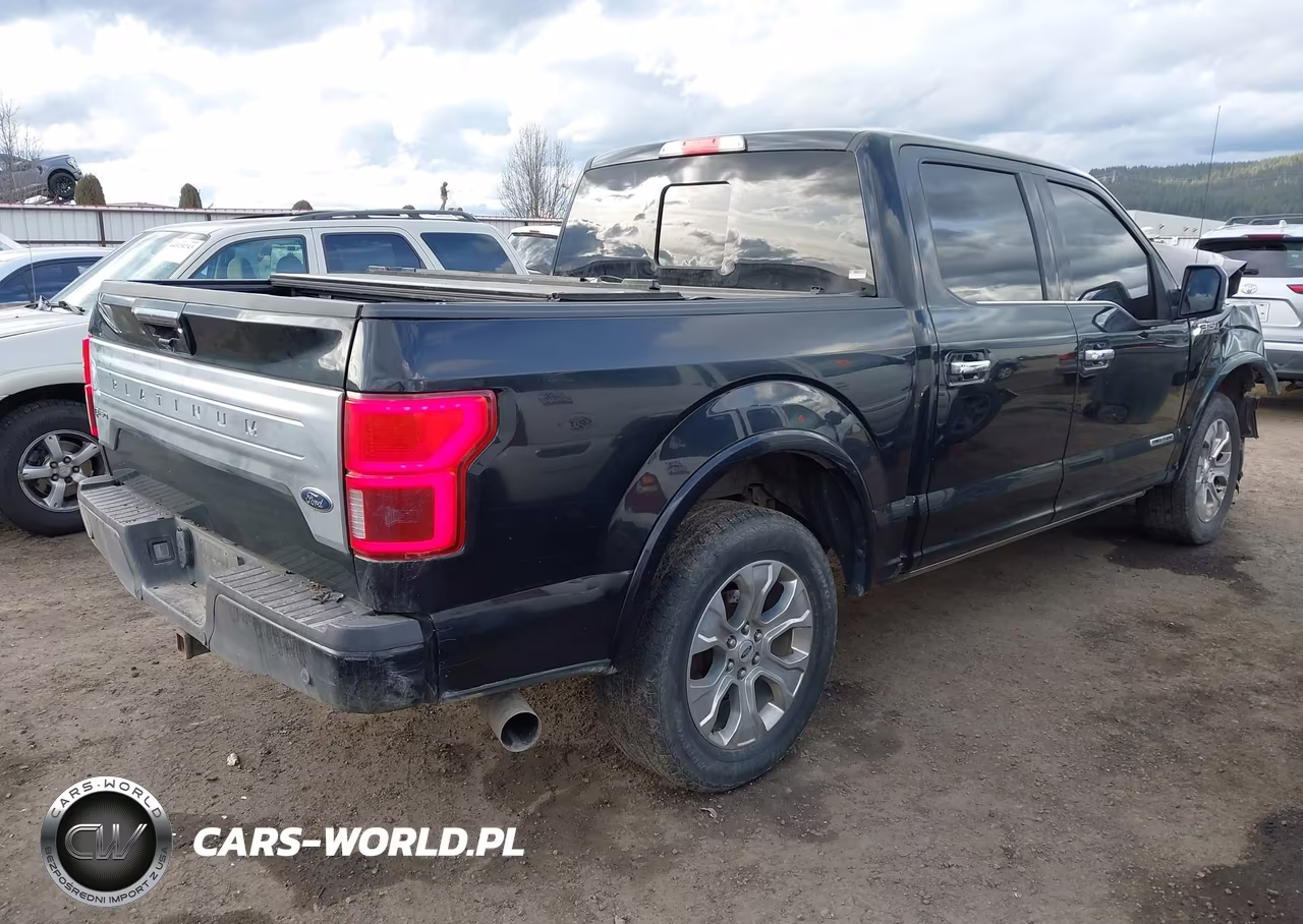 2018 Ford F-150 Platinum VIN:1FTFW1E10JFD46435 - 4