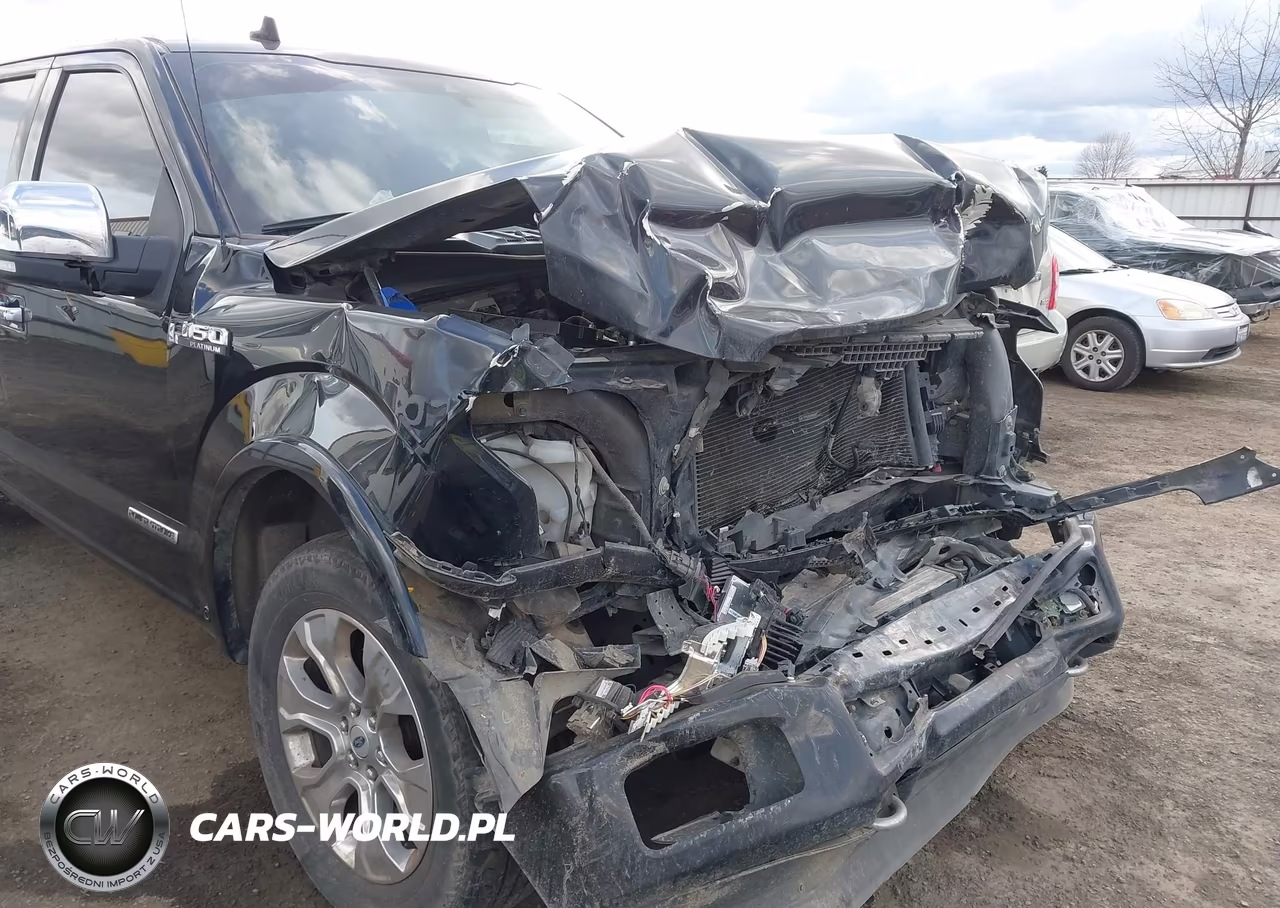 2018 Ford F-150 Platinum VIN:1FTFW1E10JFD46435 - 6
