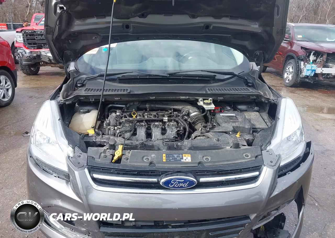 2013 Ford Escape Sel VIN:1FMCU0H97DUC14157 - 10