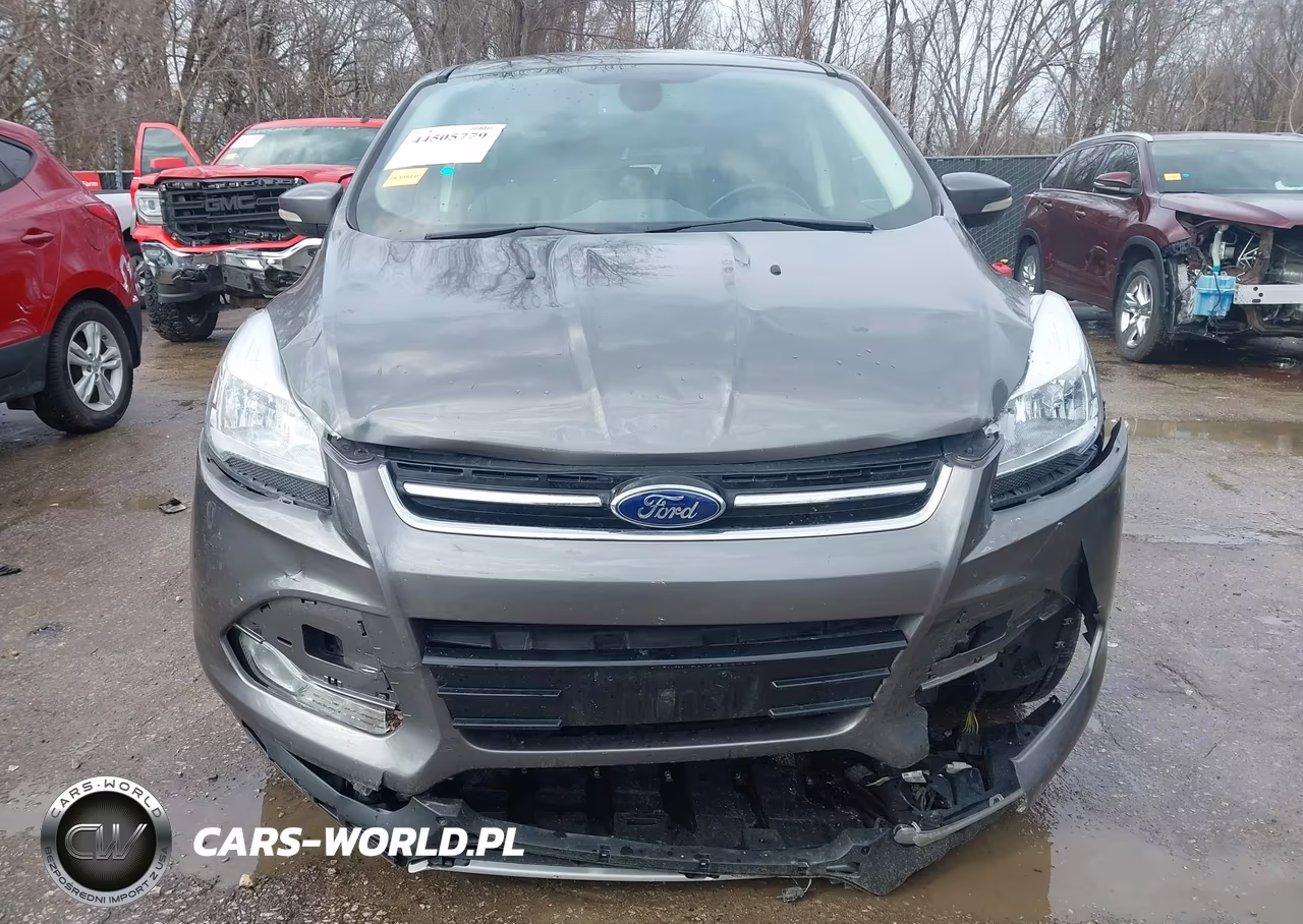 2013 Ford Escape Sel VIN:1FMCU0H97DUC14157 - 12