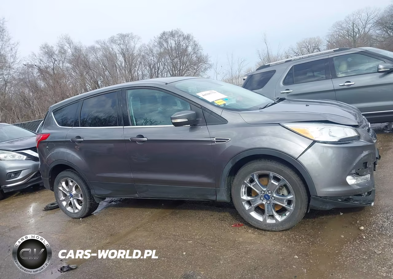 2013 Ford Escape Sel VIN:1FMCU0H97DUC14157 - 13