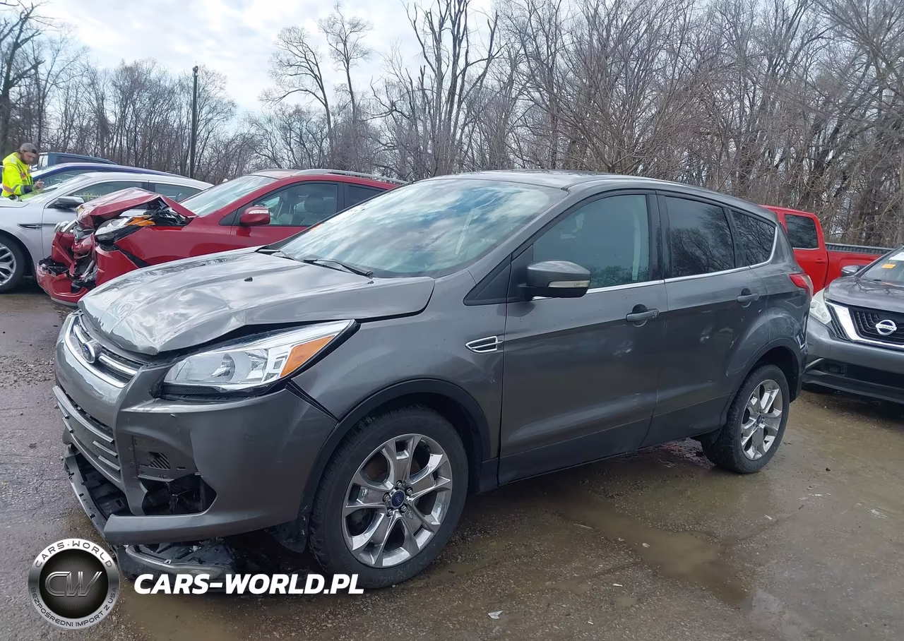 2013 Ford Escape Sel VIN:1FMCU0H97DUC14157 - 14