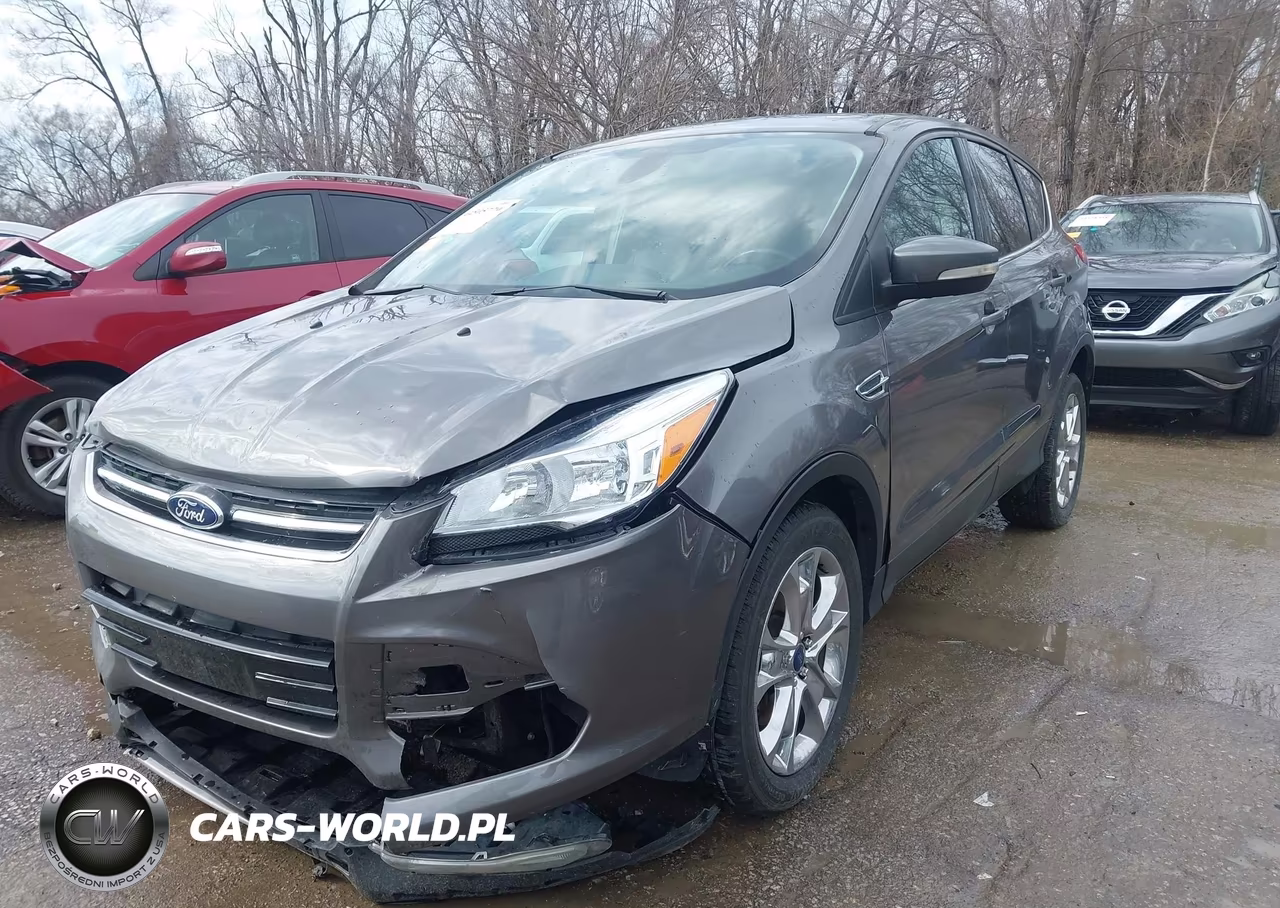 2013 Ford Escape Sel VIN:1FMCU0H97DUC14157 - 2