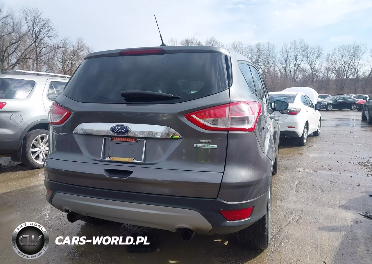 2013 Ford Escape Sel VIN:1FMCU0H97DUC14157 - 4