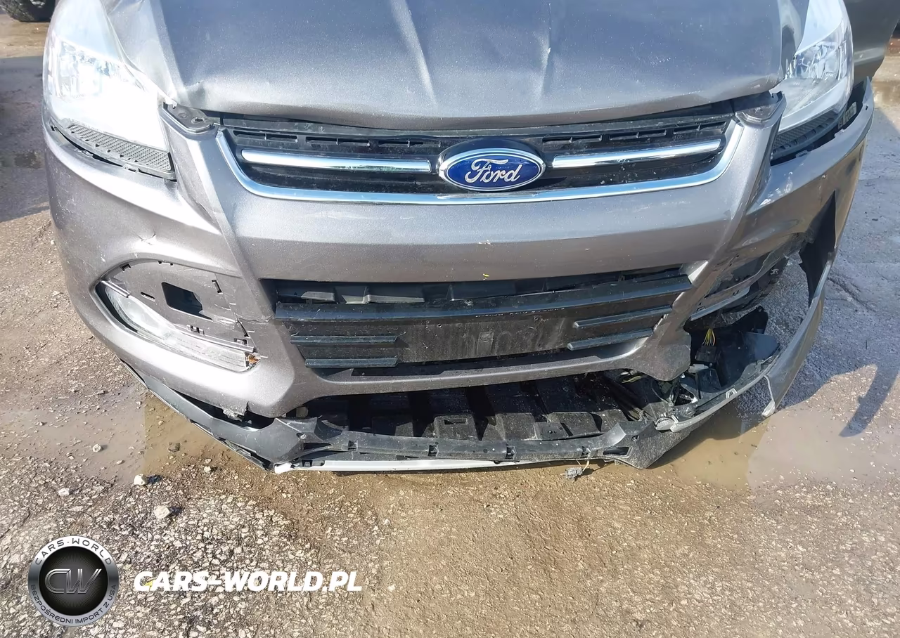 2013 Ford Escape Sel VIN:1FMCU0H97DUC14157 - 6