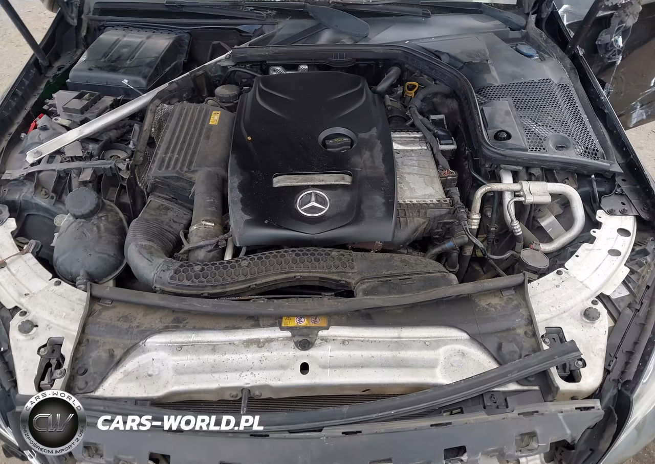 2016 Mercedes-Benz C 300 VIN:55SWF4JB7GU172875 - 10