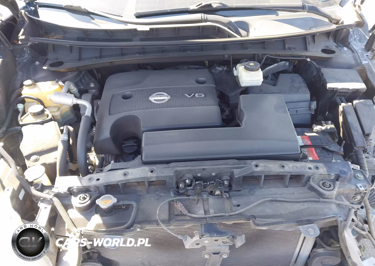 2016 Nissan Murano Platinum-S-Sl-Sv VIN:5N1AZ2MG1GN114529 - 10