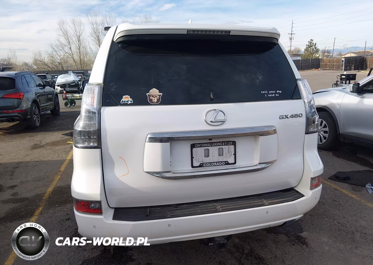 2019 Lexus Gx 460 Premium VIN:JTJBM7FXXK5217035 - 17