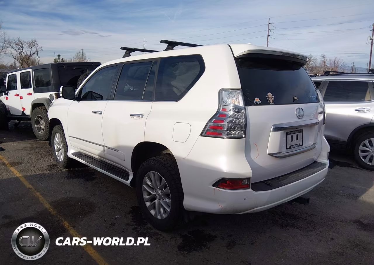 2019 Lexus Gx 460 Premium VIN:JTJBM7FXXK5217035 - 3