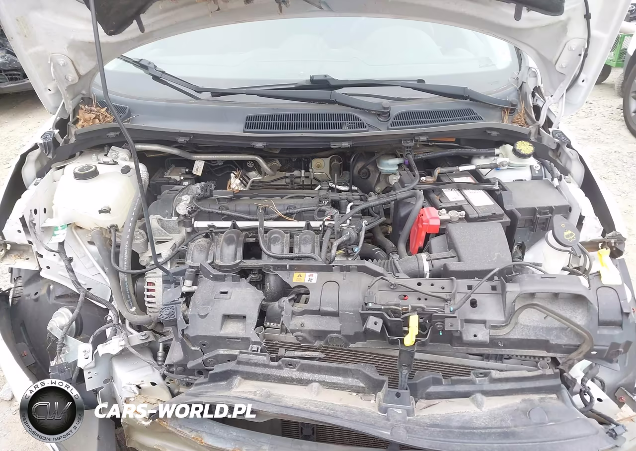 2014 Ford Fiesta Se VIN:3FADP4EJXEM108481 - 10