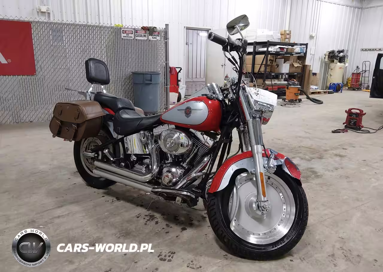 2002 Harley-Davidson Flstfi