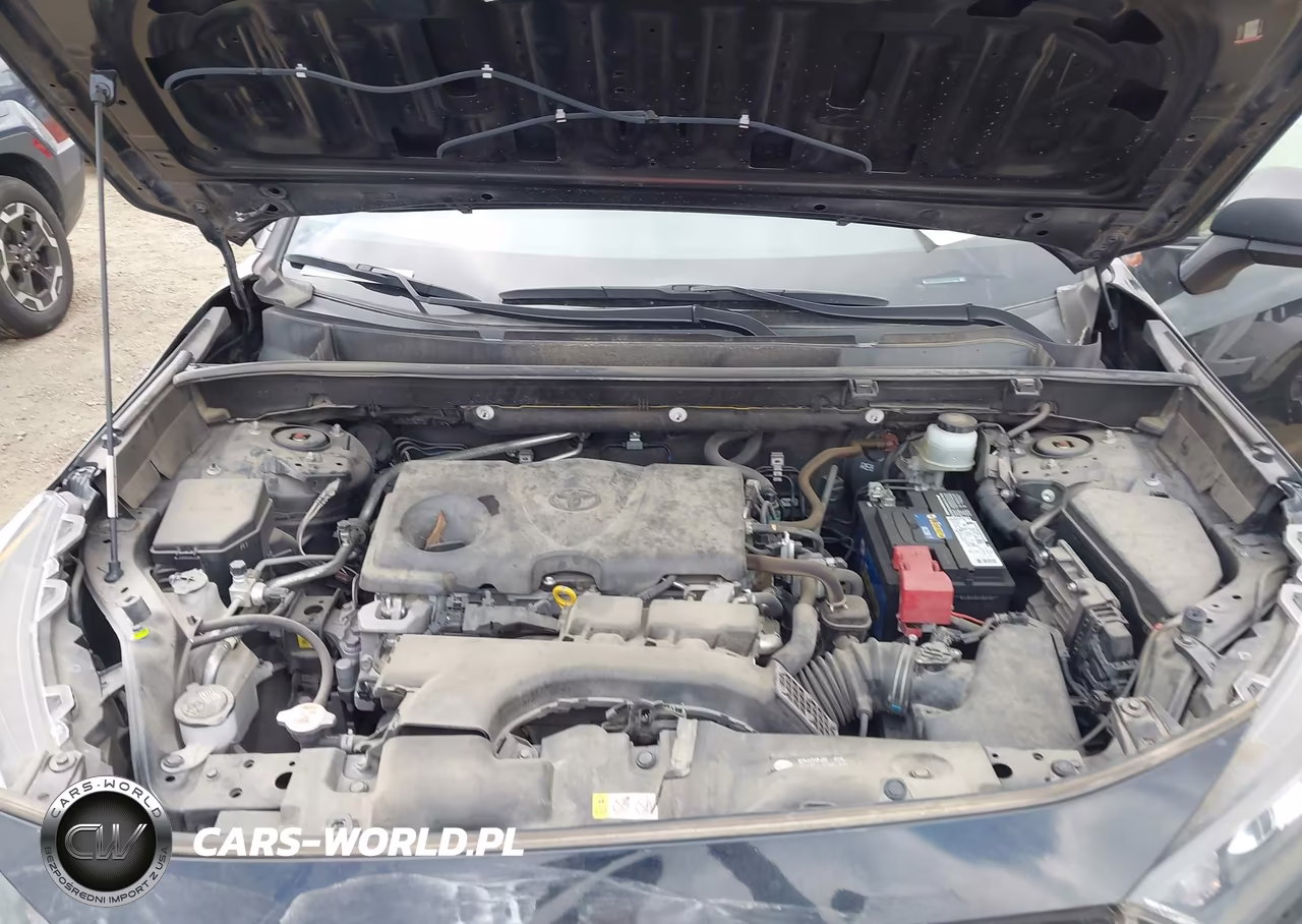 2019 Toyota Rav4 Le VIN:JTMH1RFV1KD507007 - 10