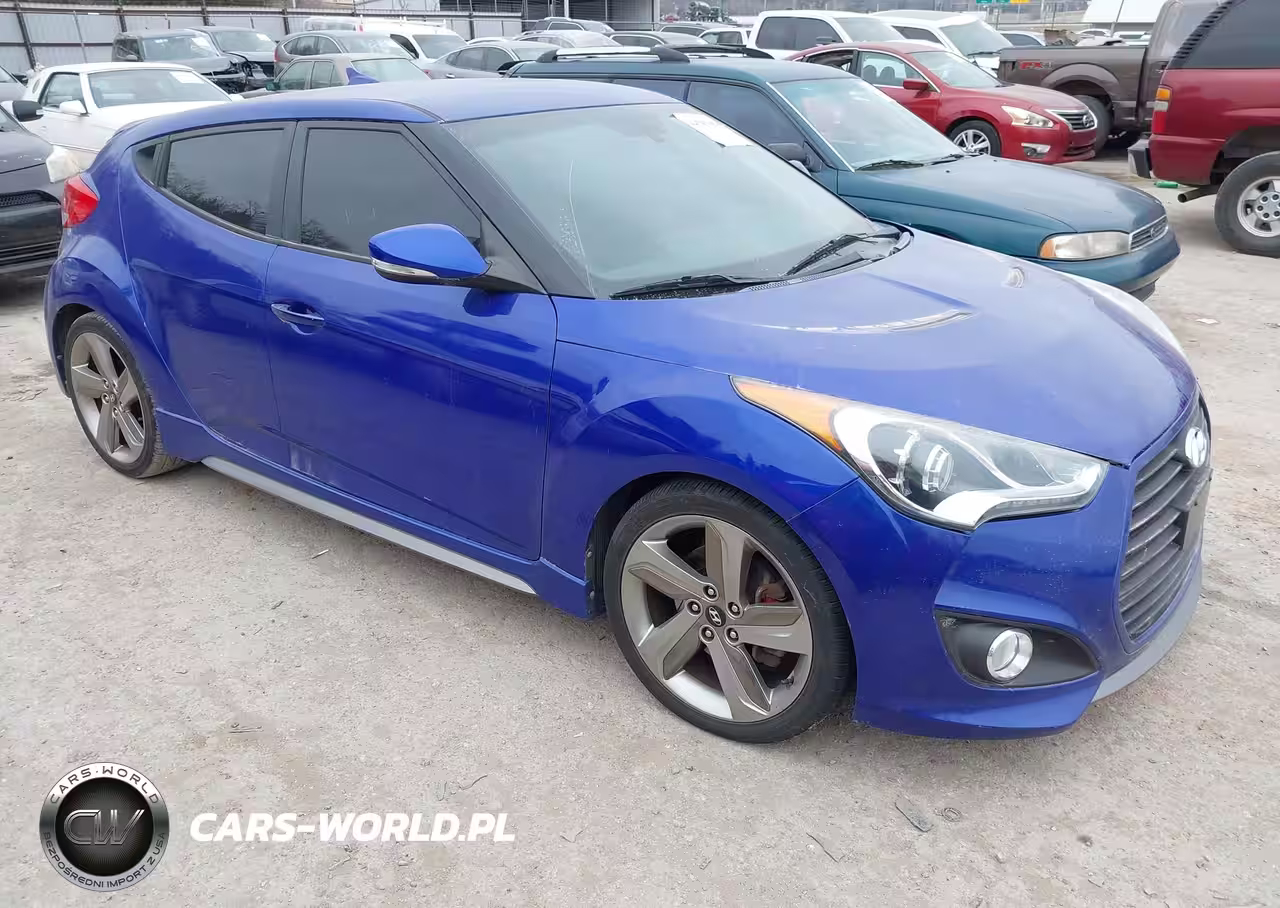2013 Hyundai Veloster Turbo W-Black