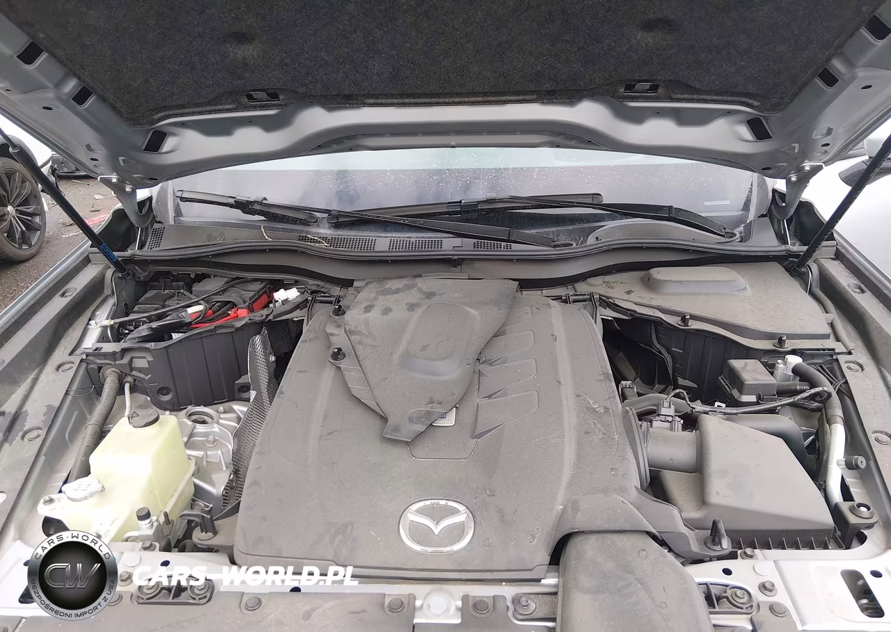 2024 Mazda Cx-90 Phev Premium VIN:JM3KKDHAXR1141003 - 10