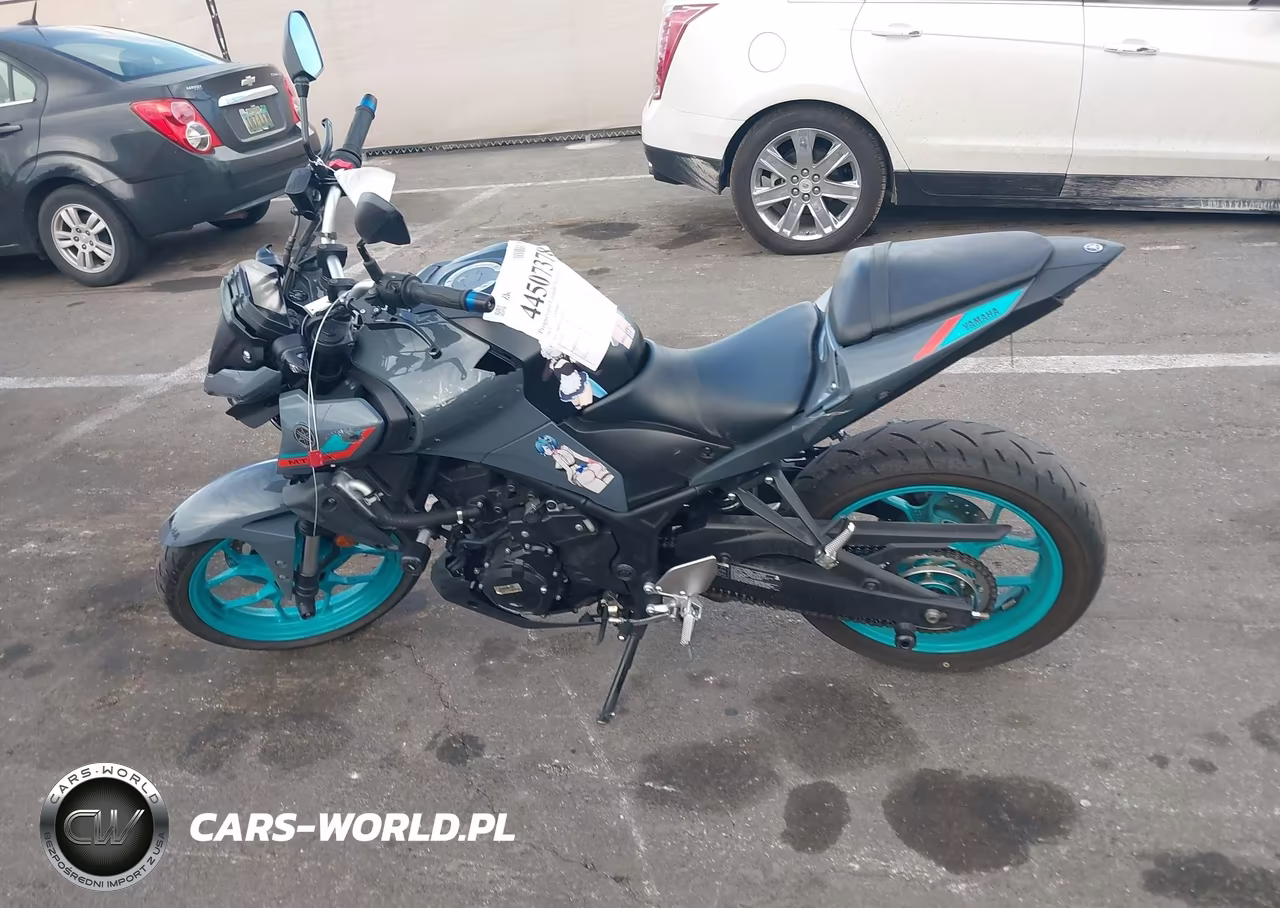 2023 Yamaha Mt-03 VIN:MH3RH20YXPK011511 - 13