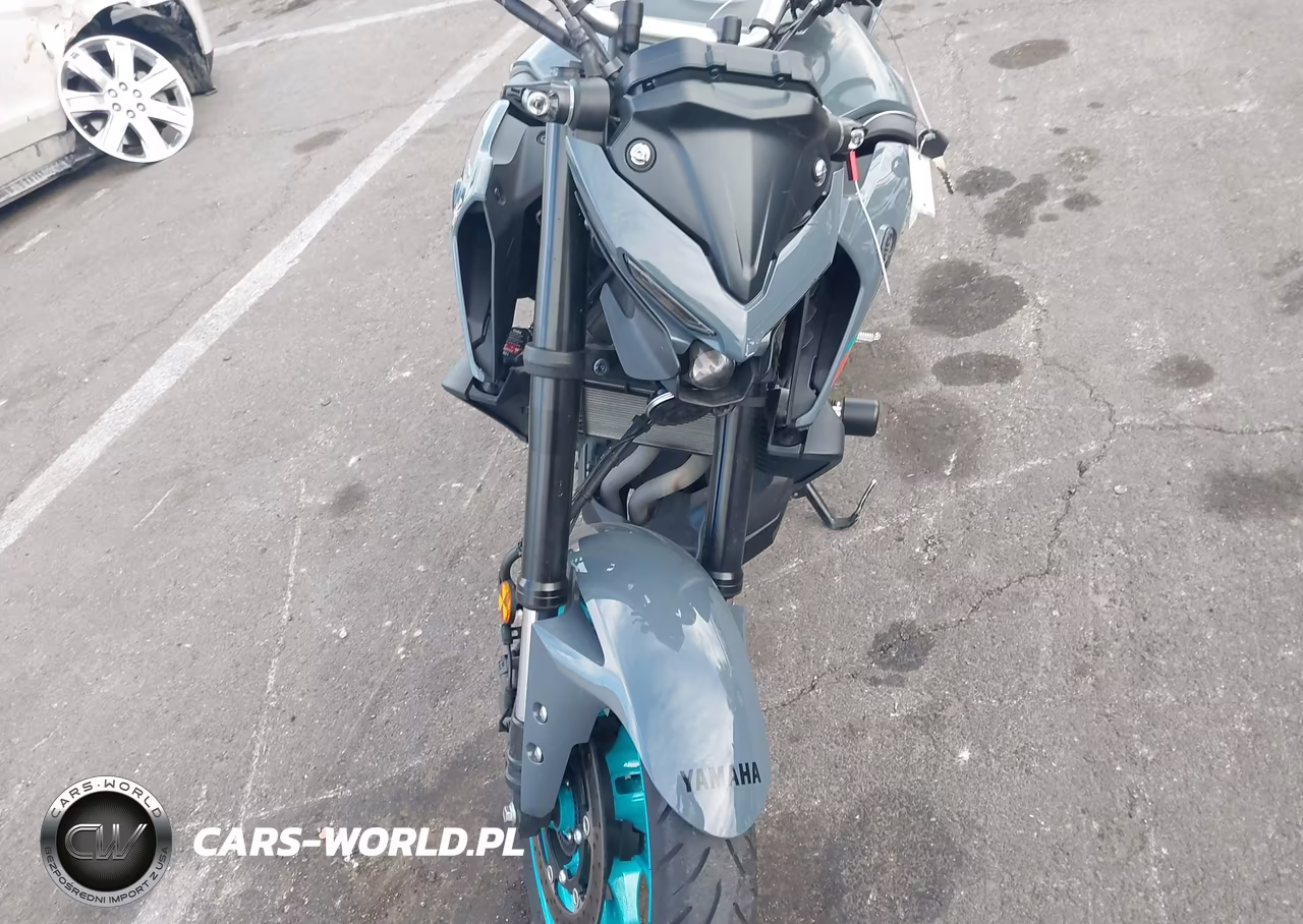 2023 Yamaha Mt-03 VIN:MH3RH20YXPK011511 - 14