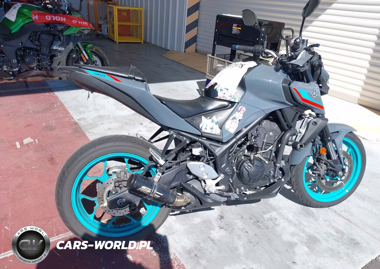 2023 Yamaha Mt-03 VIN:MH3RH20YXPK011511 - 4
