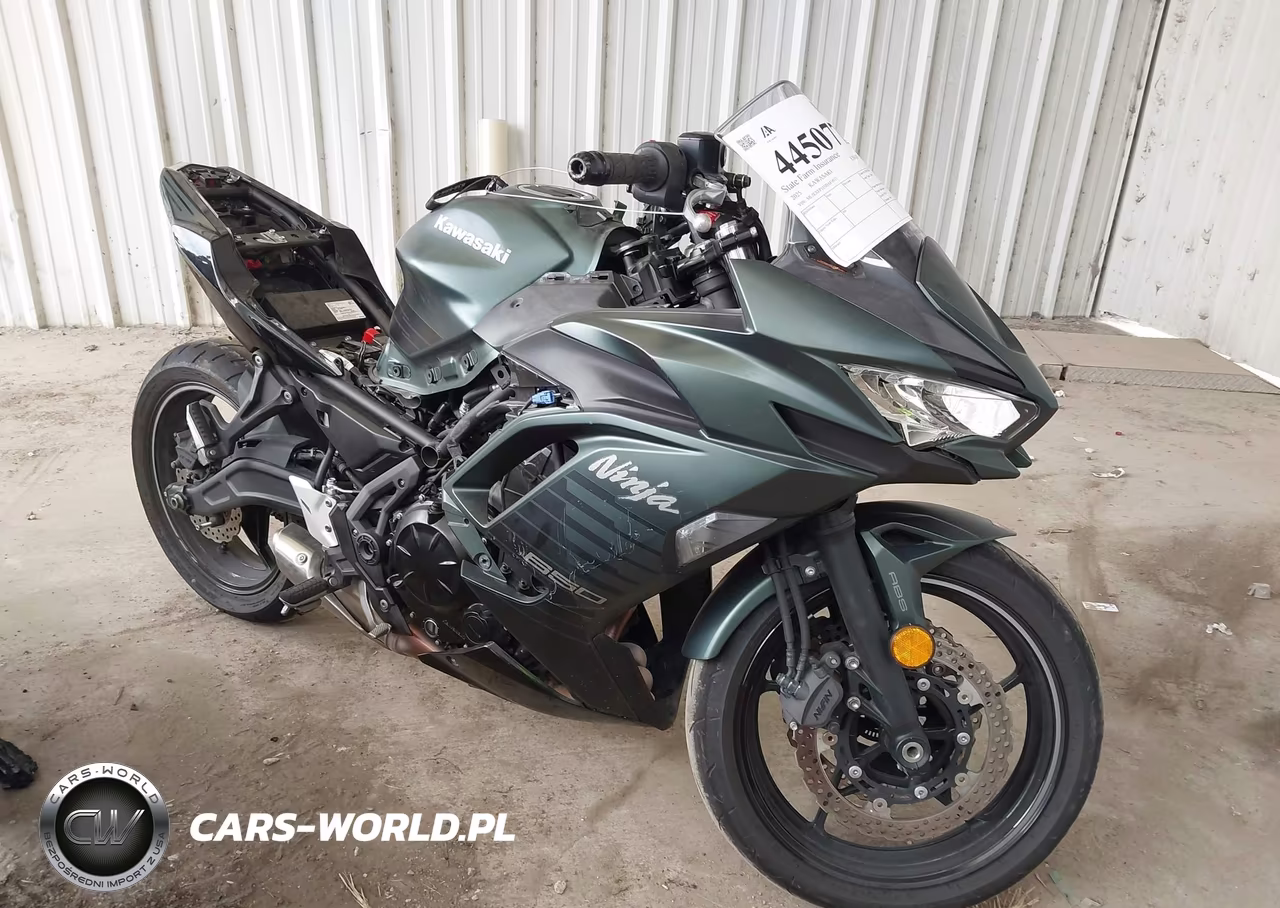 2025 Kawasaki Ex650 P