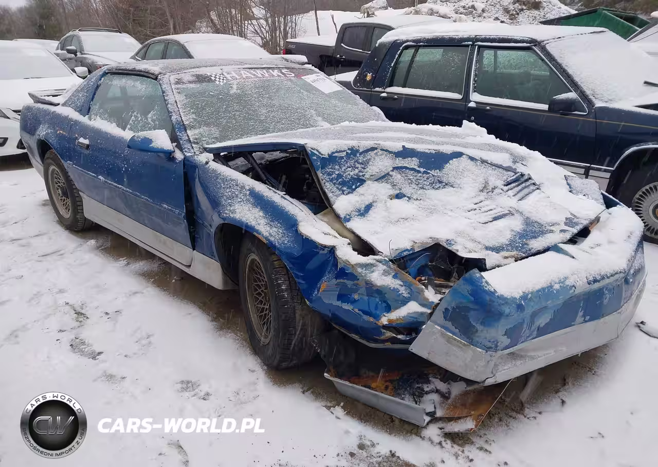 1989 Pontiac Firebird Trans Am-Gta