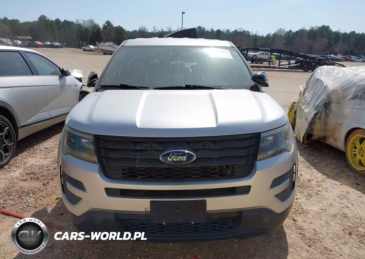 2018 Ford Police Interceptor Utility VIN:1FM5K8AR8JGA99702 - 12