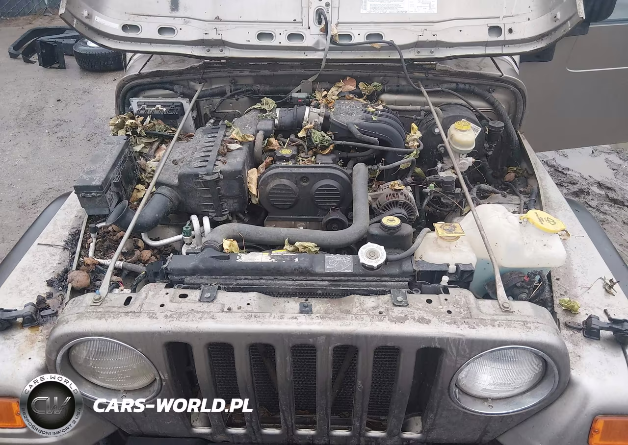 2004 Jeep Wrangler Se VIN:1J4FA29164P721932 - 10