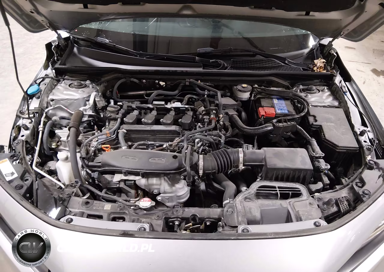 2024 Honda Civic Ex-L VIN:19XFL1H71RE014275 - 10