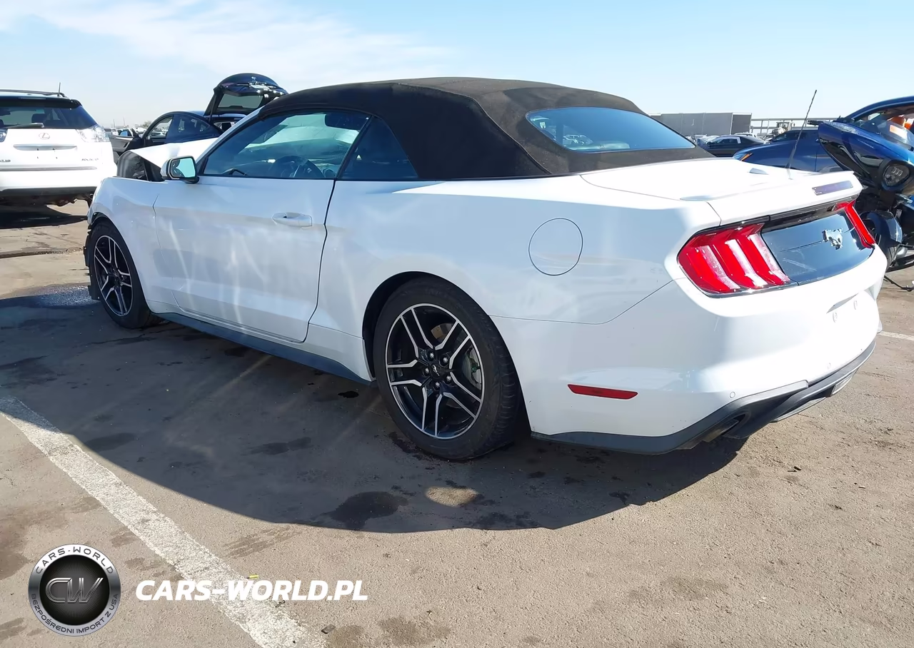 2022 Ford Mustang Ecoboost Premium VIN:1FATP8UH0N5106858 - 3