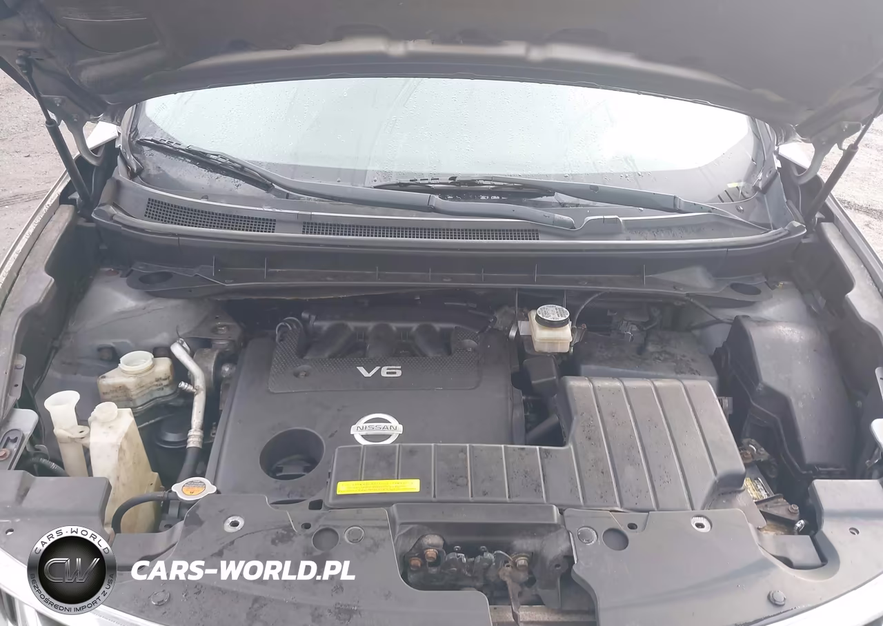 2009 Nissan Murano Sl VIN:JN8AZ18W29W151087 - 10