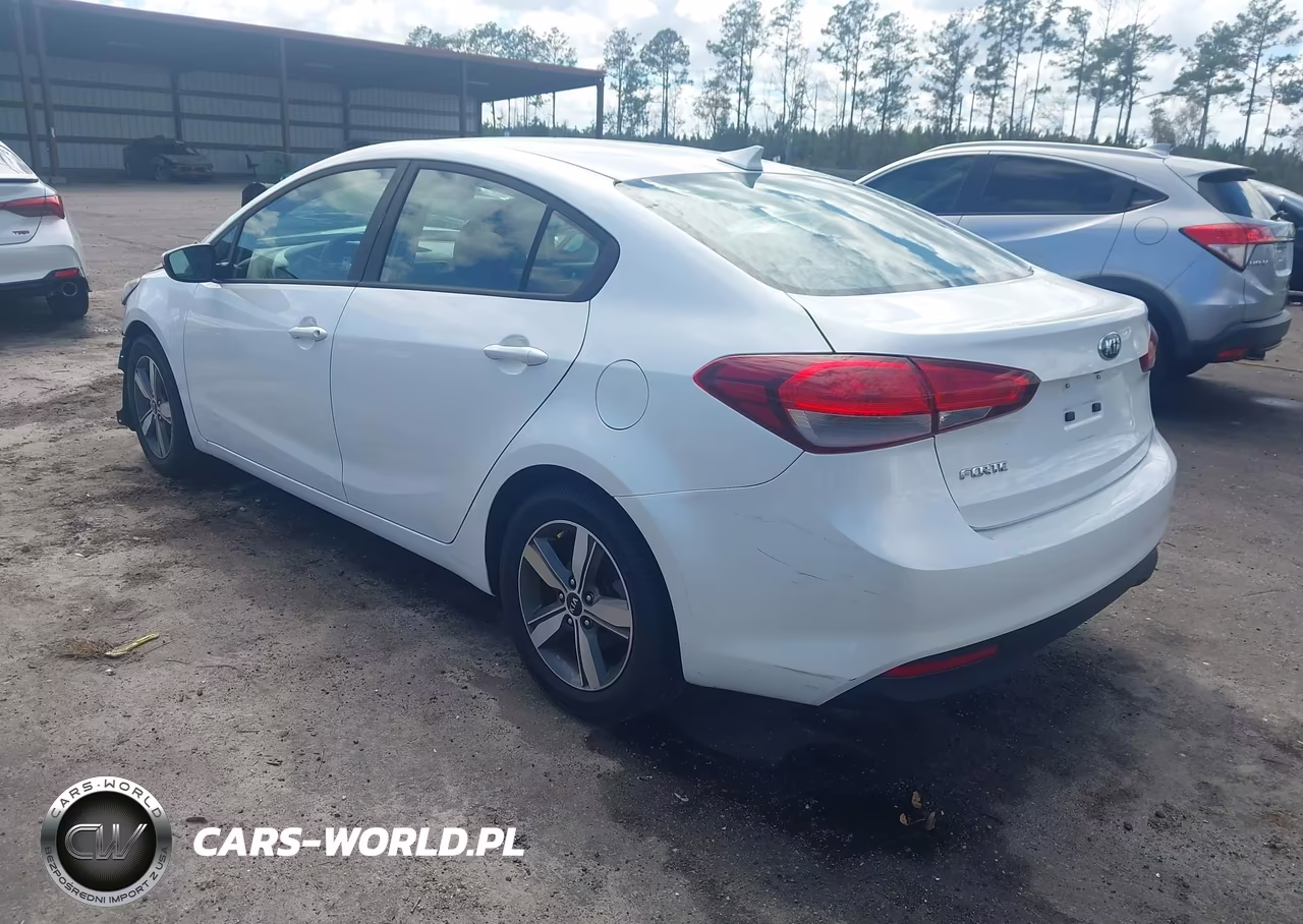 2018 Kia Forte Lx VIN:3KPFL4A73JE178403 - 3
