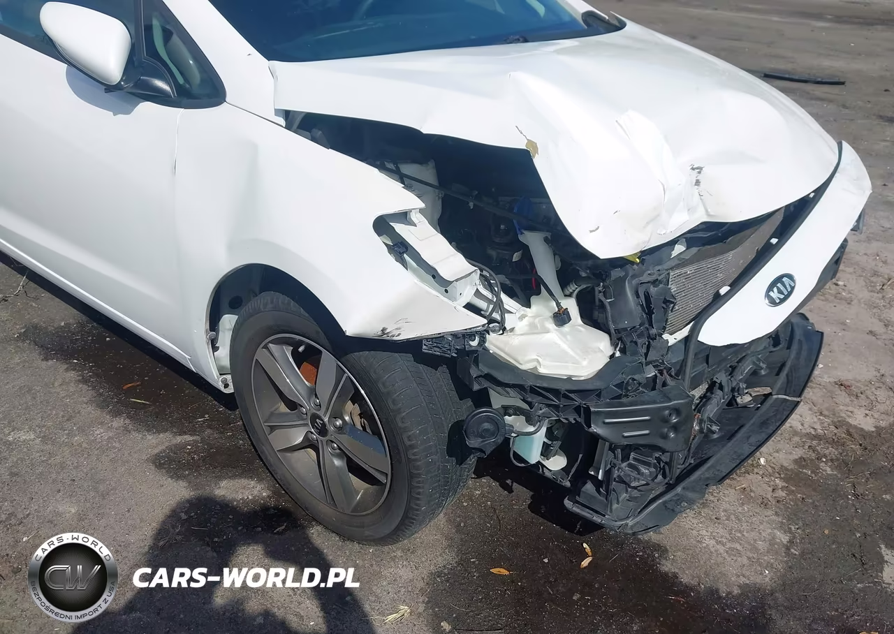 2018 Kia Forte Lx VIN:3KPFL4A73JE178403 - 6